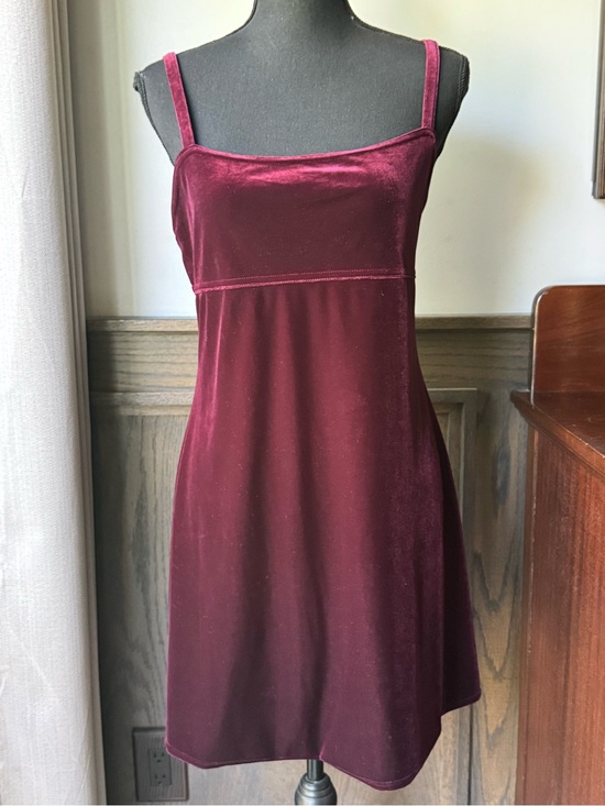 Roberta Other - Roberta vintage Velvet Burgundy Slip Dress